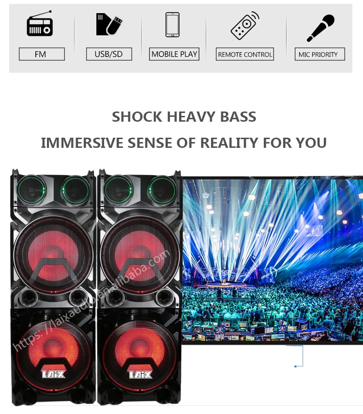 Laix Ds1 Pro Stage Speaker Home Speakers System Karaoke Dual 12 Inches