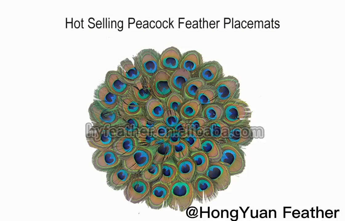 Decorative Guinea Hen Feather Table Placemats Mat For Kitchen Dining