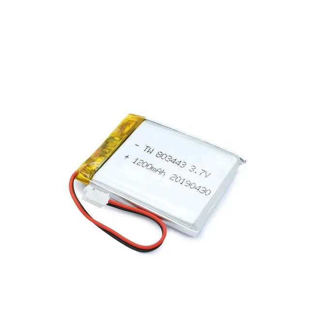 lithium ion polymer battery overview