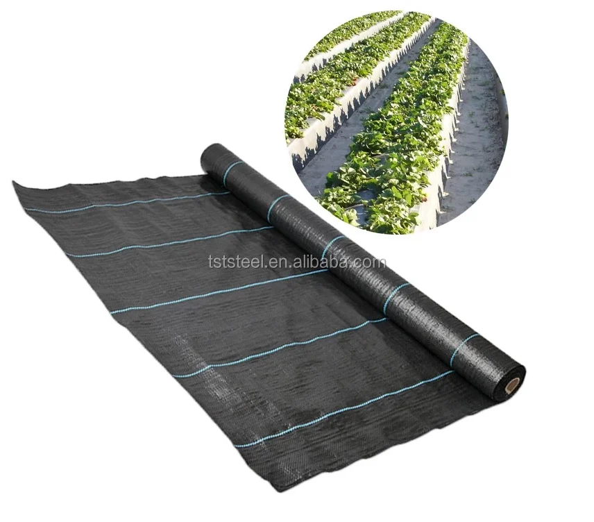 Garden Weed Control Fabric/ground Cover Fabric /agrotextile - Buy ...