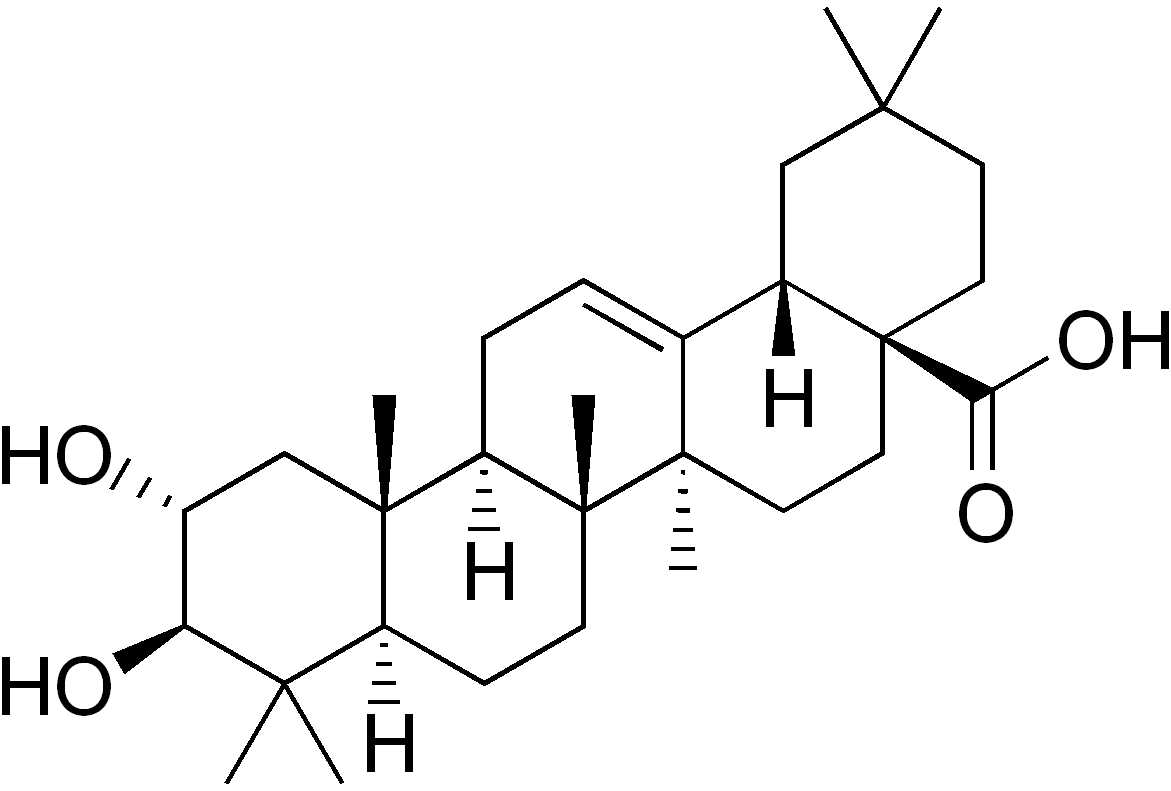 focusherb olive leaf extract 40% maslinic acid