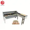 Grande Best Price Egg Classification Machine Egg Classifying Machine for Sale