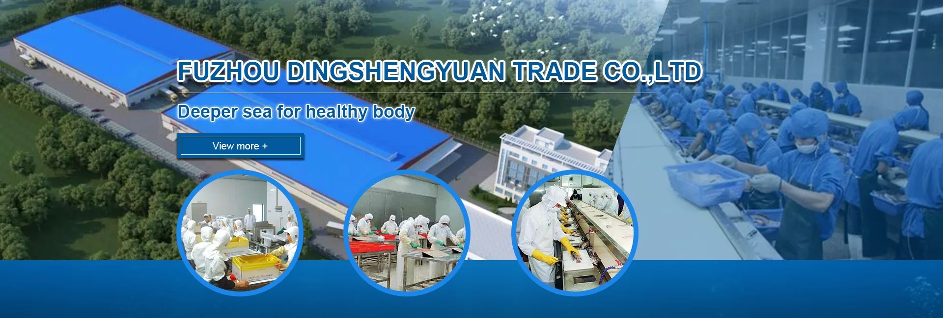 Fuzhou Dingshengyuan Trade Co Ltd Frozen Squid Tube Frozen Tilapia