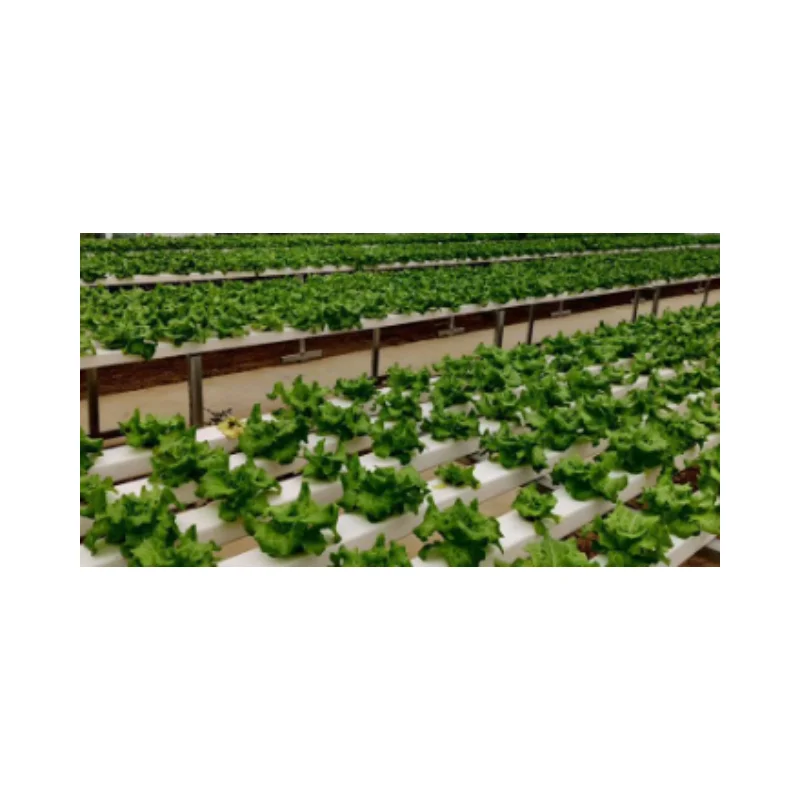 Best Quality Watersaving Food Grade Pvc Pipe Nft Channel Hydroponic System For Sale Buy Pvc