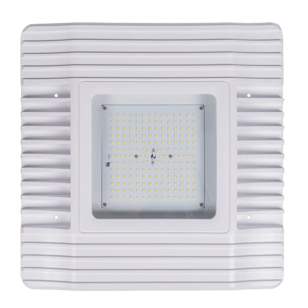 B Canopy Light (2).JPG