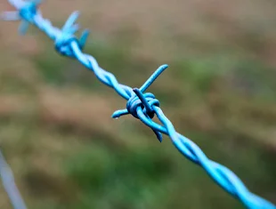 Double Twist Barbed Wire 7