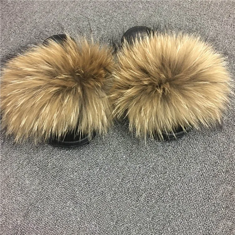 racoon slides