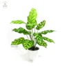Maple leaf plant no pot small artificial green leave bonsai on sale