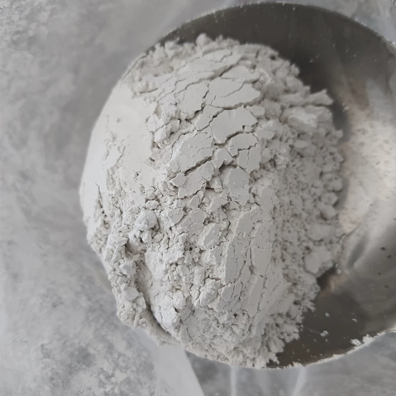 Factory Directly Supply White Powder Calcium Hydroxide Hydrated Lime for Road Construction details