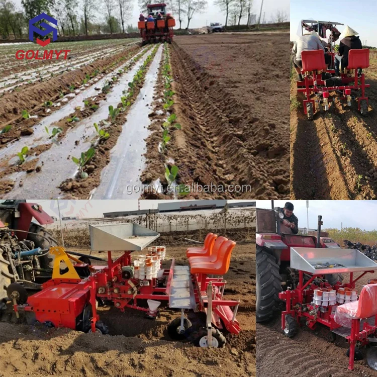 Rows Selfpropelled Vegetable Seedling Transplanter Onion Planting
