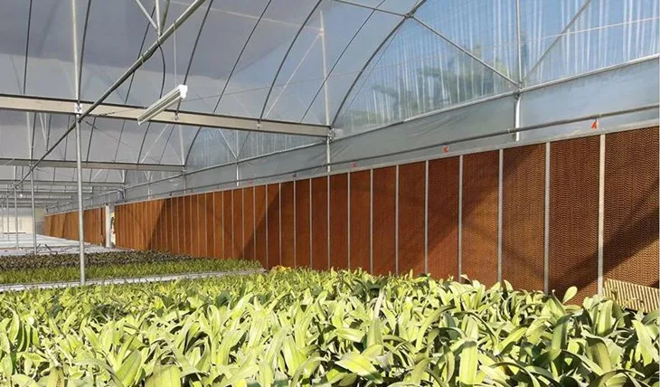 AJW-greenhouse191029