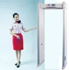 Professional and high sensitivity Walkthrough Metal Detector Apply To Factory, Court, Gym, Concert, Jail MCD-100