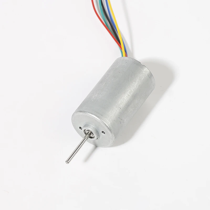 12v 28mm Bldc Vibration Motor With Double Shaft - Buy Dc 12v 28mm ...