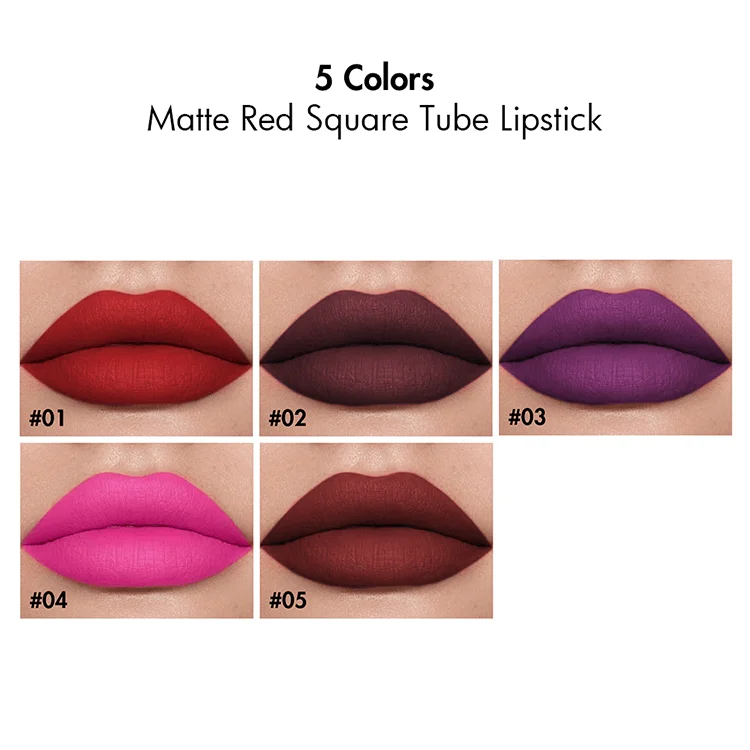 Design Your Own Logos 5 Colors Cosmetic Waterproof Private Label Logo Christmas Matte Lip Stick Square Tube Charm Lipsticks