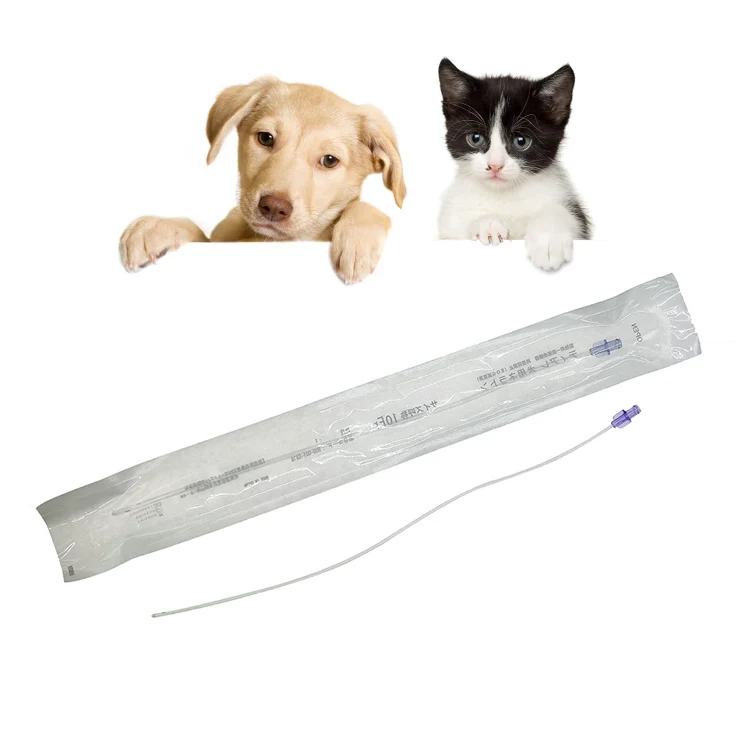 Disposable Animal Urinary Catheter Flexible Pvc Veterinary Urine Catheters With Luer Lock