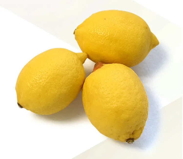 9-(1)_05.jpg