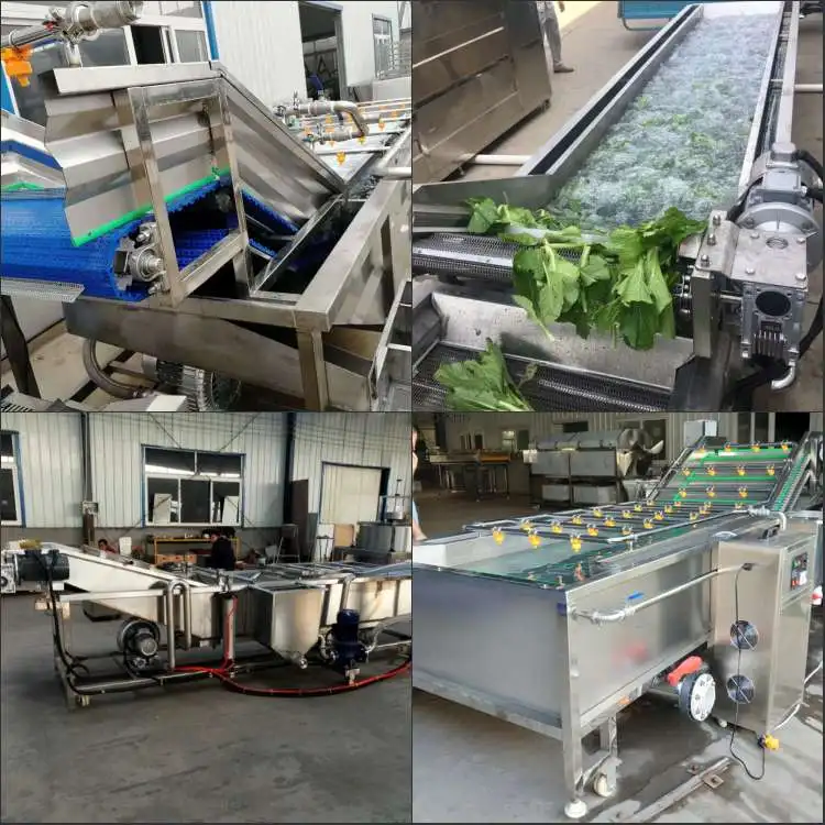 Spray air bubble rotary orange fruit washing machine for chili