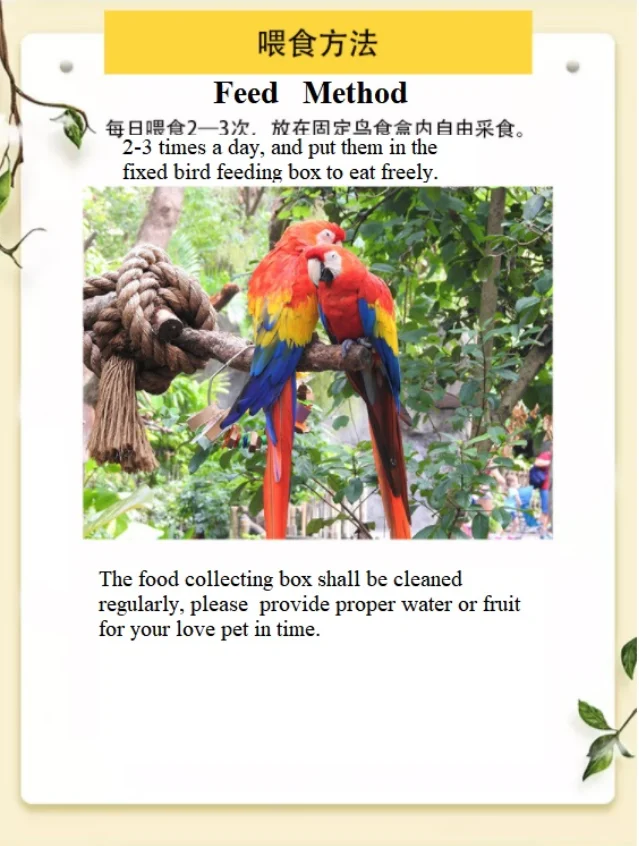 paste-pic-dp_uuid_64lvt