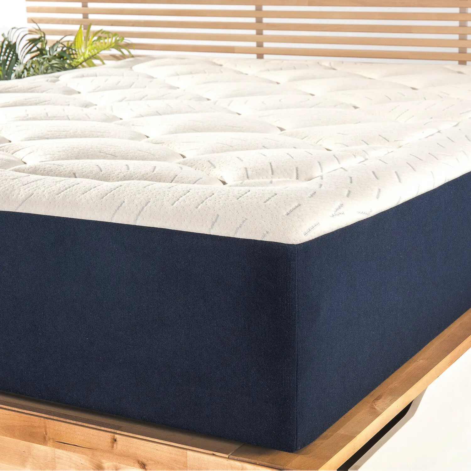 10 Inch Pocket Spring Mattress Matress Cushiontop Certipurus