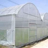 200 micron white color UV treated greenhouse plastic film rolls