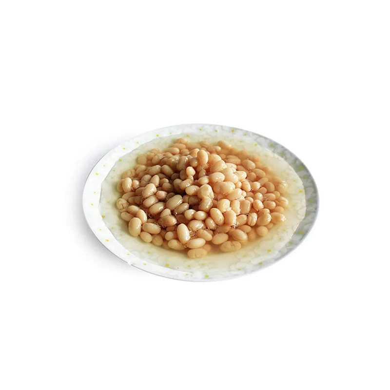 罐头白芸豆清水