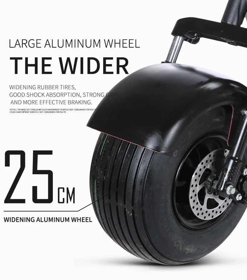 three wheels EEC electric scooter