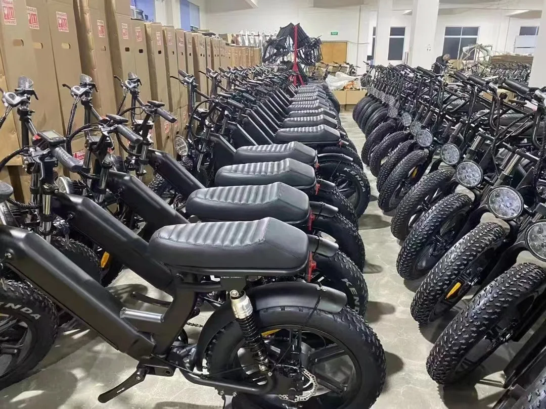 High Quality Bici Eletrica 1000w Dual Battery Electric Fat Tire Bike
