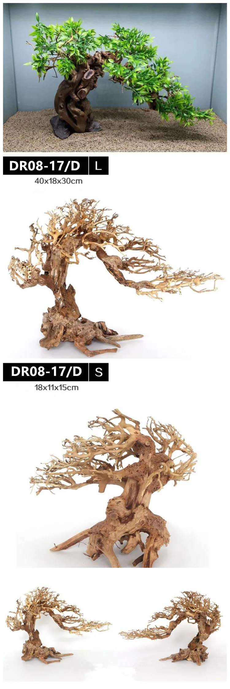DR08-17D.jpg