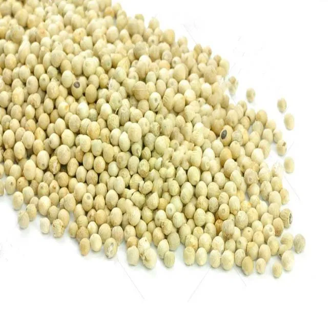 natural dried white pepper powder