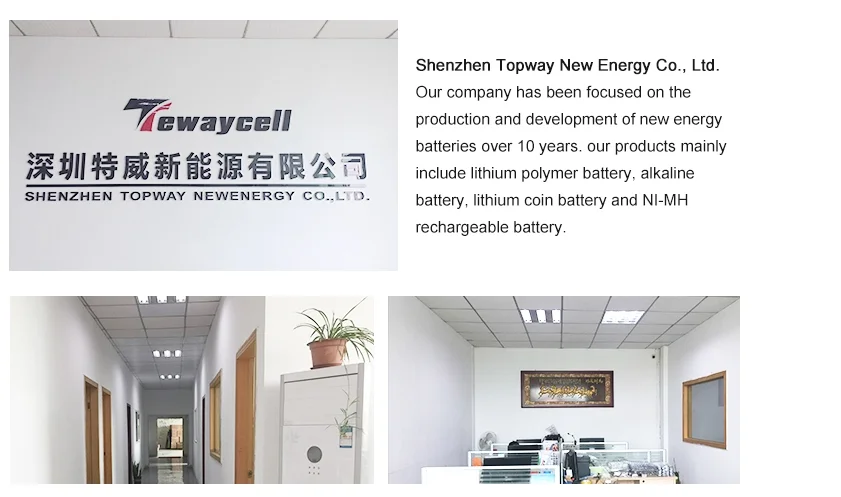 company introduction.png