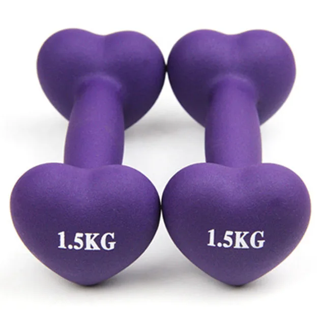 Colorful 1 Kg Dumbbell Set Vinyl Dipping Pvc Neoprene Portable Gym Solid Cast Iron Dumbbell