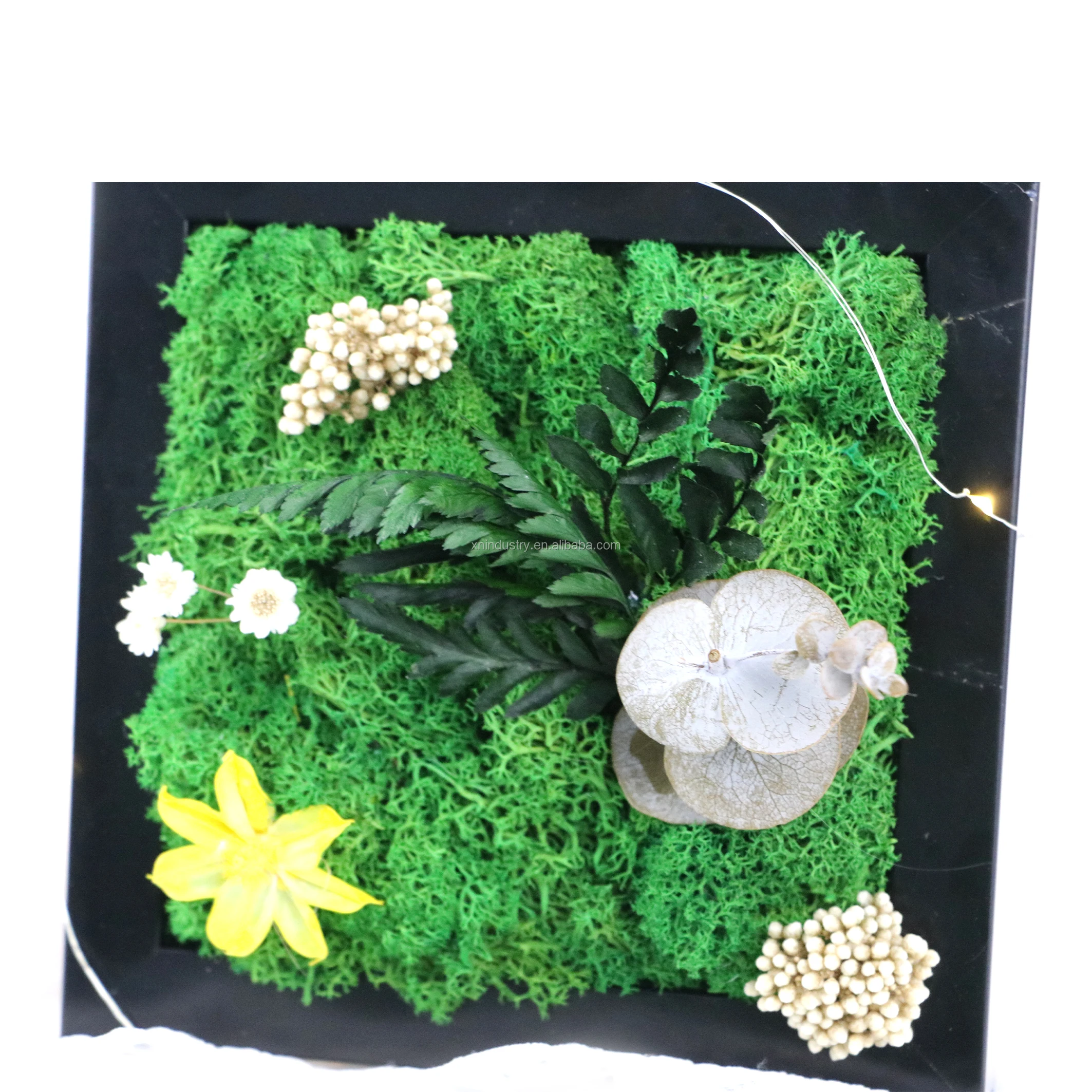 500克批发质量最好的一级驯鹿苔藓面板天然稳定保存的苔藓墙