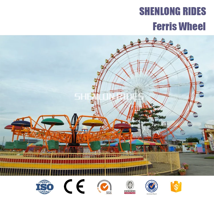 30mferris-wheel-case1