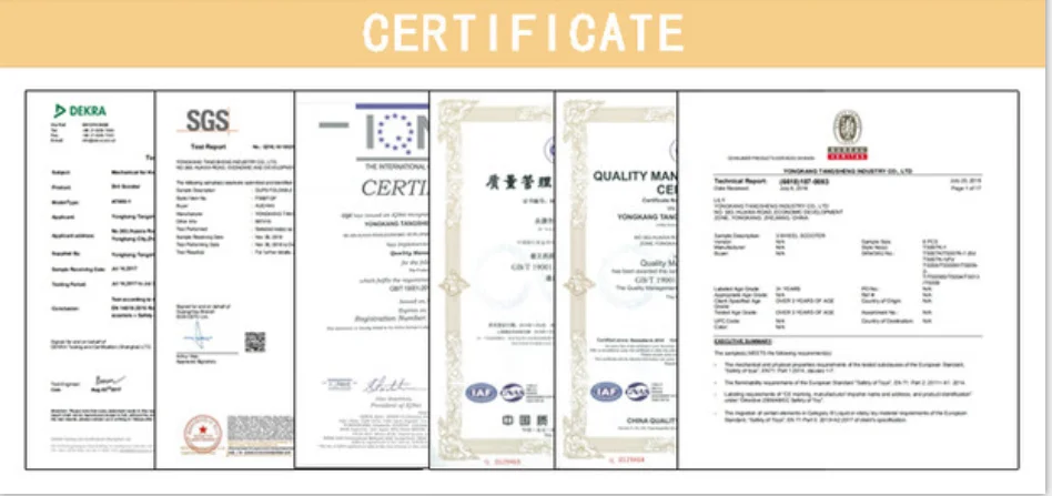 Certificate.png