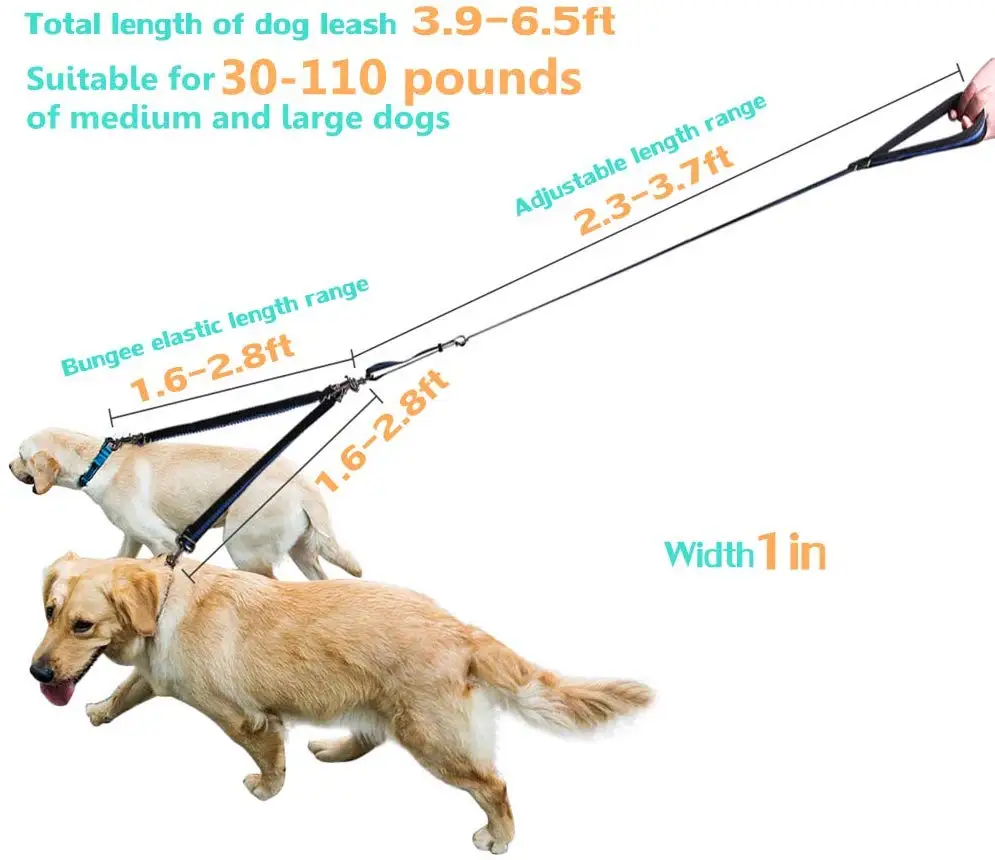 Reflective Nylon Dual-use Bungee Walking Training Leash with Soft Padded Handle for Two Medium Large Dogs