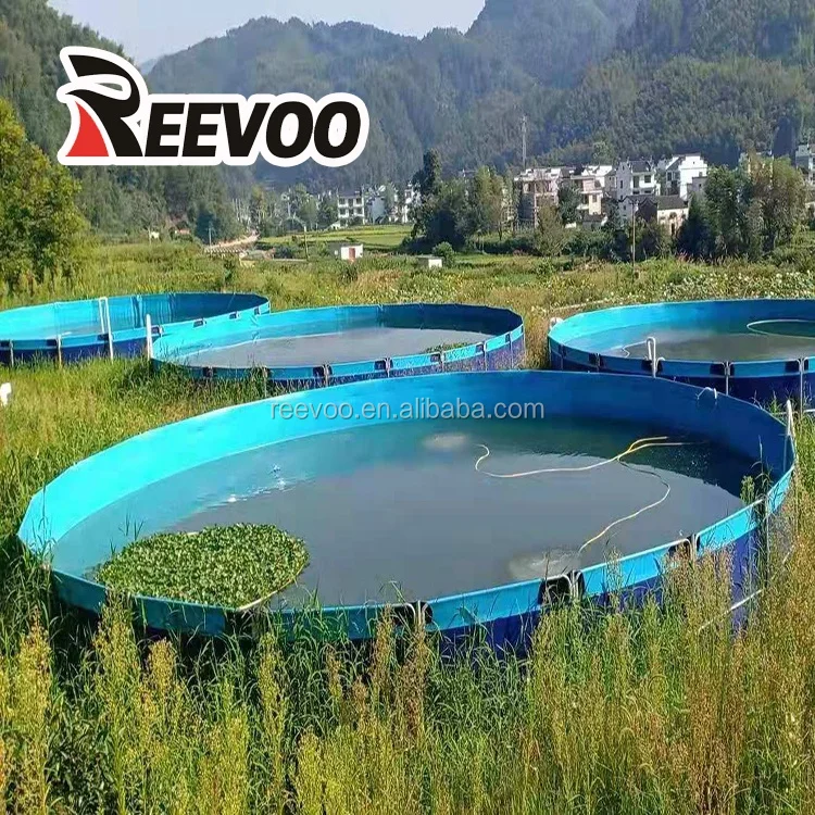 Reevoo Large Pvc Fish Farming Tank Pvc Fish Tank Aquaculture Buy Fish