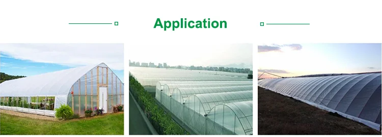 green house film 6mil greenhouse agriculture plastic factory plants covering