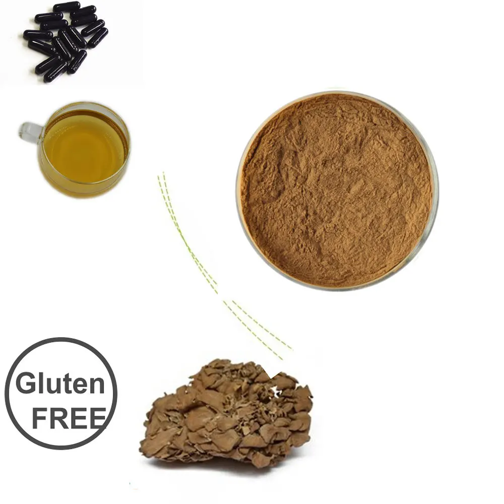 自然灰树花提取物灰树花 d 组分 30% - buy maitake mushroom extract