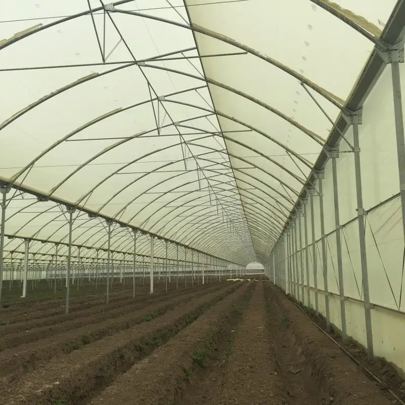 
greenhouse urban farming and smart growing system for hydroponics and aeroponics 
