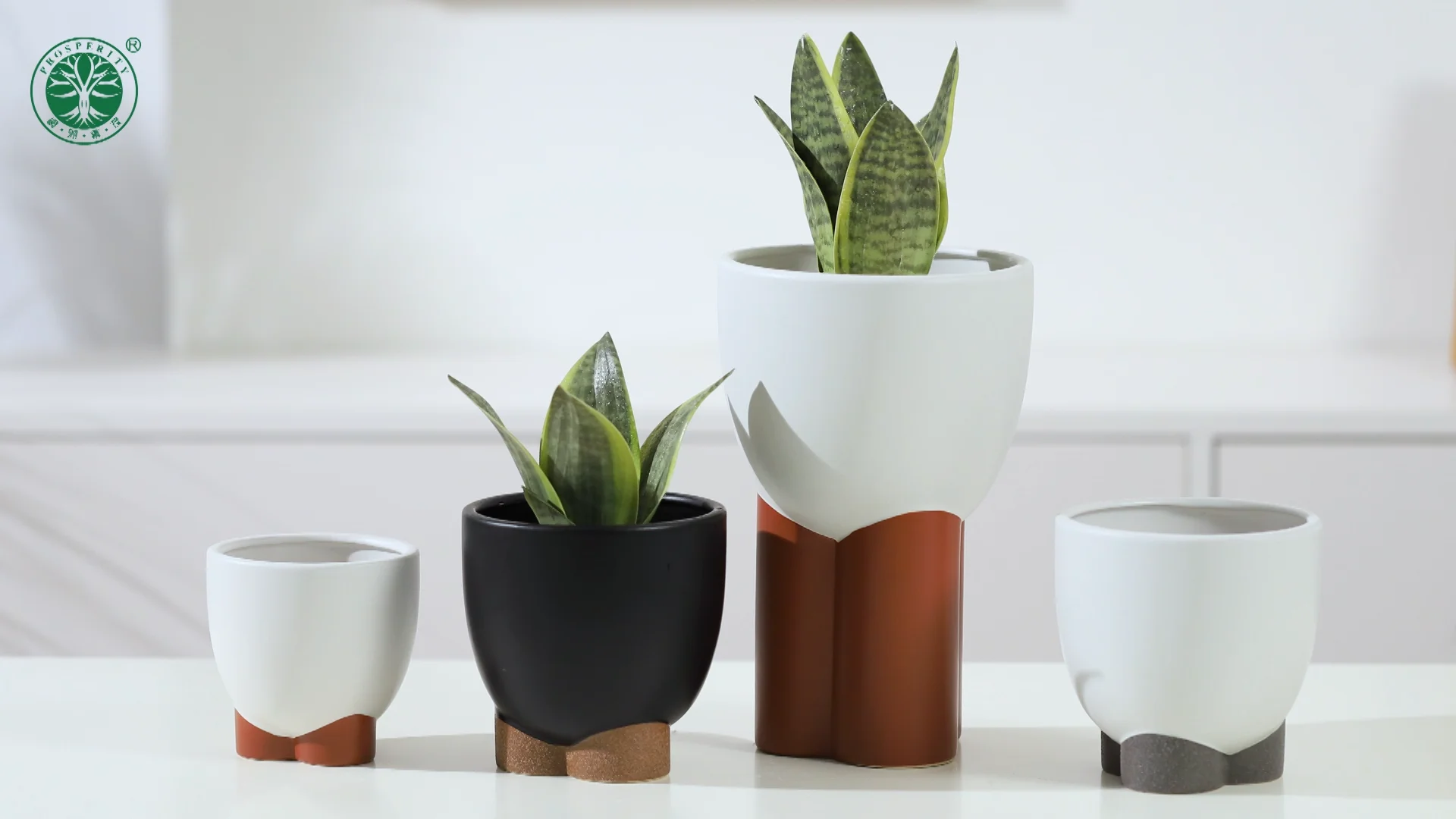 Manufacturers Wholesale Custom Logo Home Decorative Indoor Plant Pots