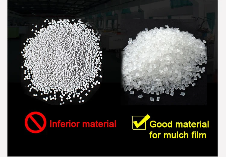 greenhouse plastic.jpg