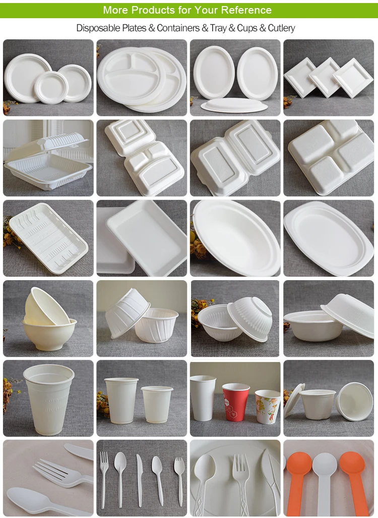 Bagasse-Containers_07.jpg
