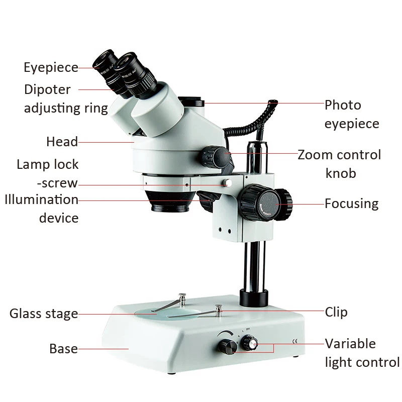 Pillar Stand Glass Stage Price Optical 7x45x Zoom Stereo Microscope