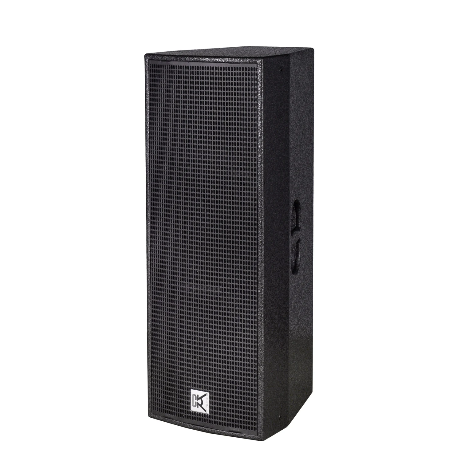 15 inch party speaker