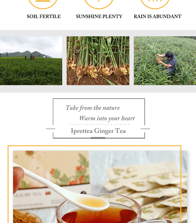 natural Chinese brown sugar ginger tea granule with red jujube instant tea powder - 4uTea | 4uTea.com