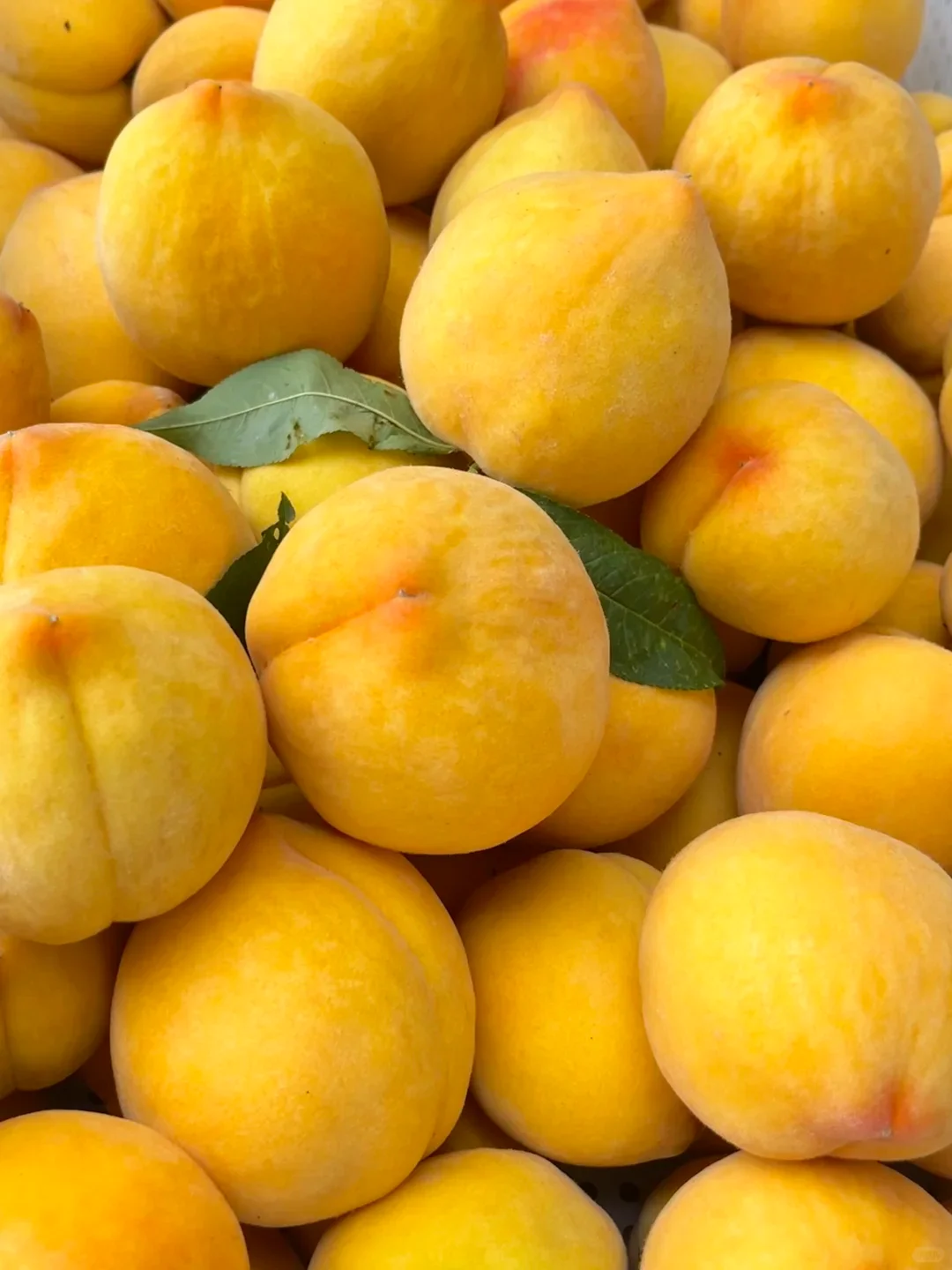 Top Quality Sweet Healthy Fruit With OEM Brand Canned Yellow Peach Halves/Slices Canned Fruit
