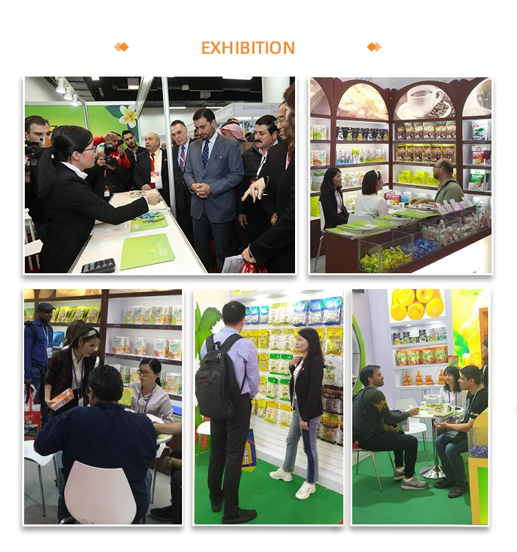 March Expo Chinese coconut cracker sweet biscuit crispy coconut biscuit COOKIEs