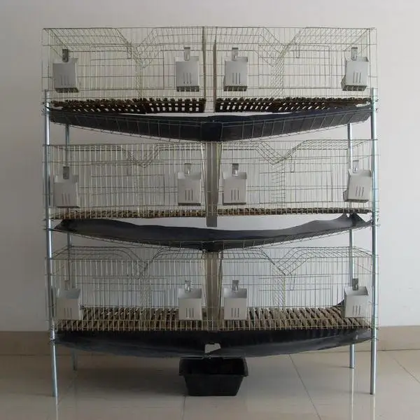 Galvanized Rabbit Cages For Rabbit Farm(20years Factory Iso9001) Buy