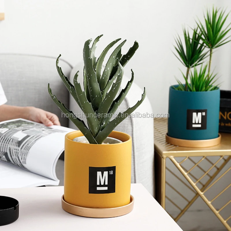 Colorful Ceramic Mini Flower Seedling Nursery Pot With Gold Saucer