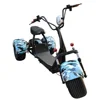 CE approved fat tire city coco double removable battery electric scooter 3 wheel car citycoco 3000w electric bike kit